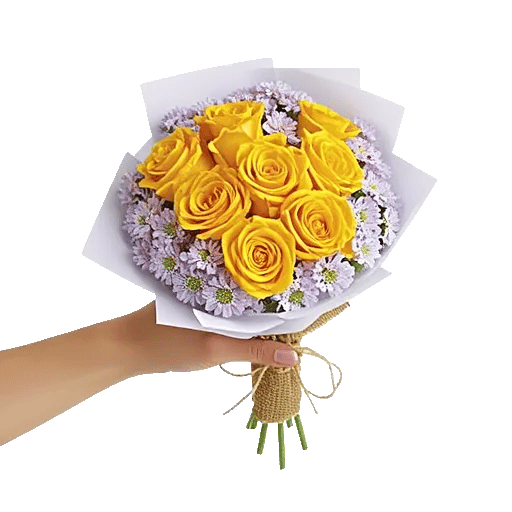 Blushing Rose Symphony