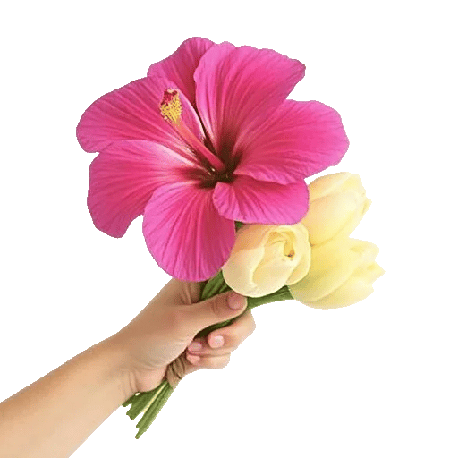 Blushing Rose Symphony