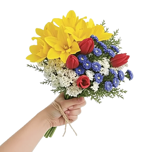 Blossom Harmony Display