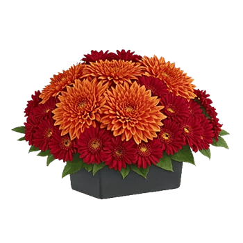 Radiant Bloom Cascade