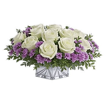 Radiant Rose Symphony