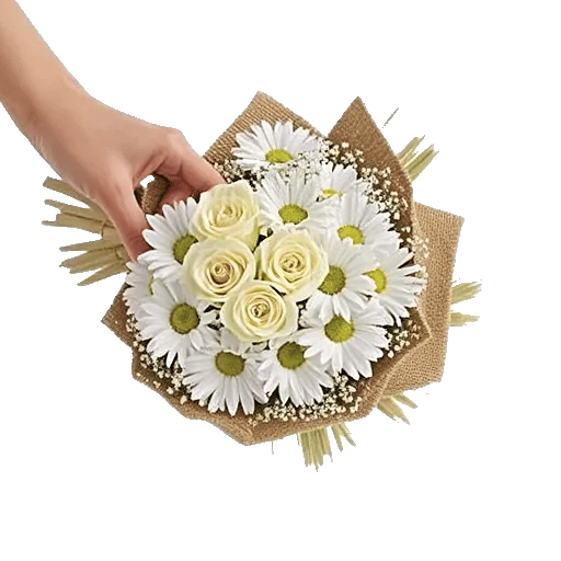 Ivory Garden Grace