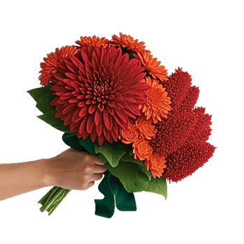 Crimson Blossom Harmony