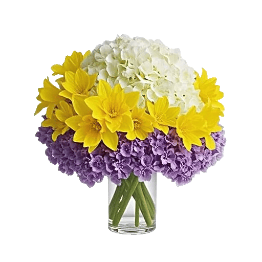 Ivory Blossom Radiance