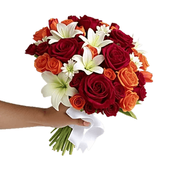Crimson Rose Elegance