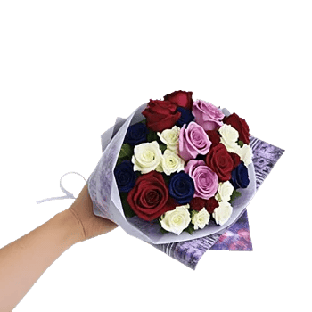 Crimson Rose Elegance