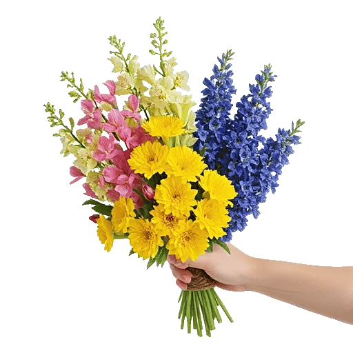 Blossom Harmony Display