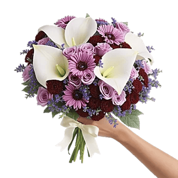 Elegant Calla Lilies