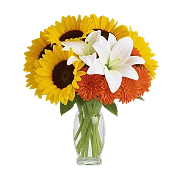 Radiant Bloom Cascade