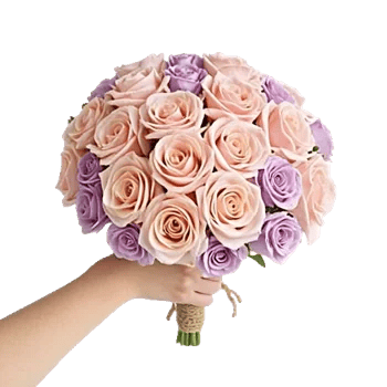 Blushing Rose Symphony