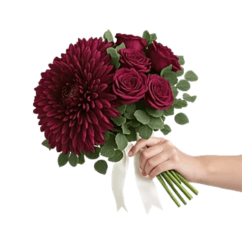 Plum Blossom Radiance