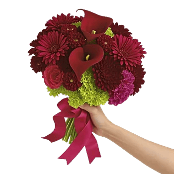 Elegant Calla Lilies