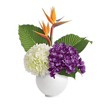 Orchid Bloom Cascade