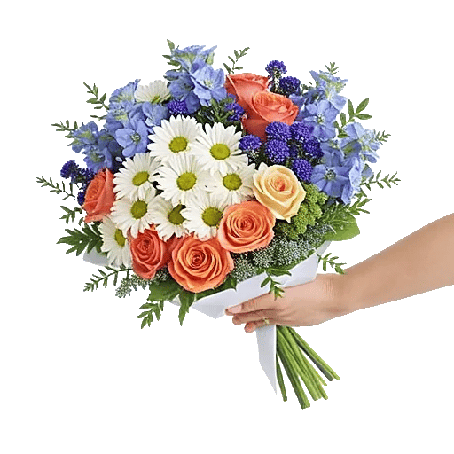 Blossom Petal Serenity