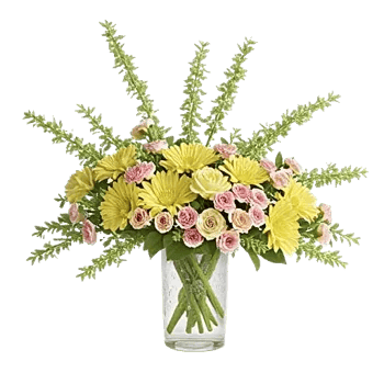 Petal Radiance Bliss