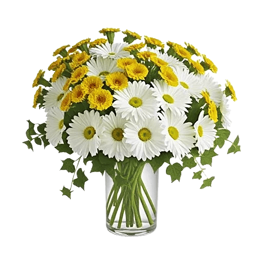 Ivory Blossom Radiance