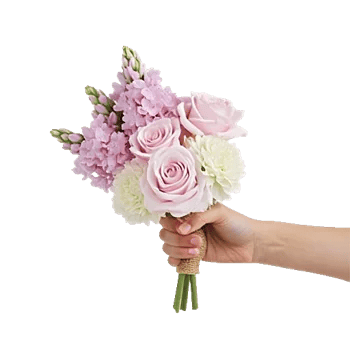 Pink Pastel Roses