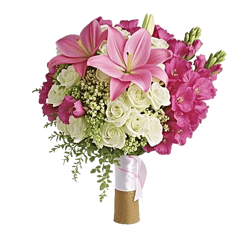 Blushing Rose Symphony