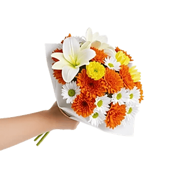 Blossom Harmony Display