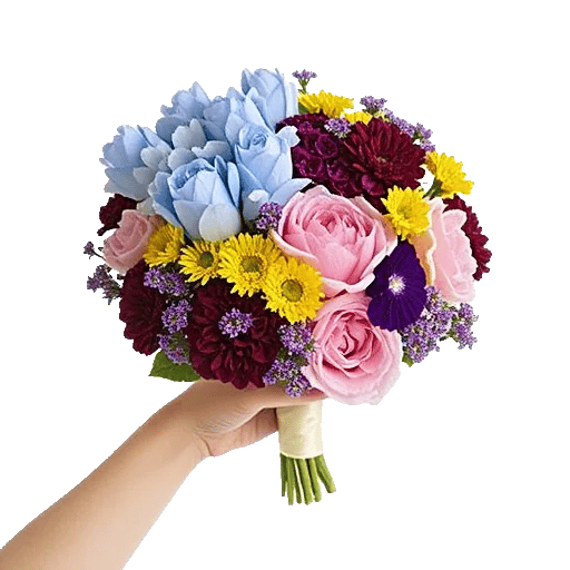 Blossom Petal Serenity