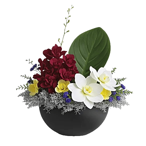 Modern White Orchids