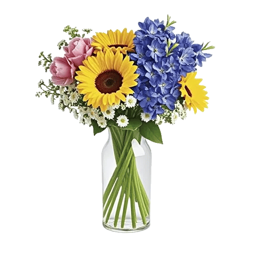 Ivory Blossom Radiance