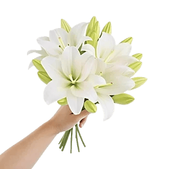 Graceful Lily Display