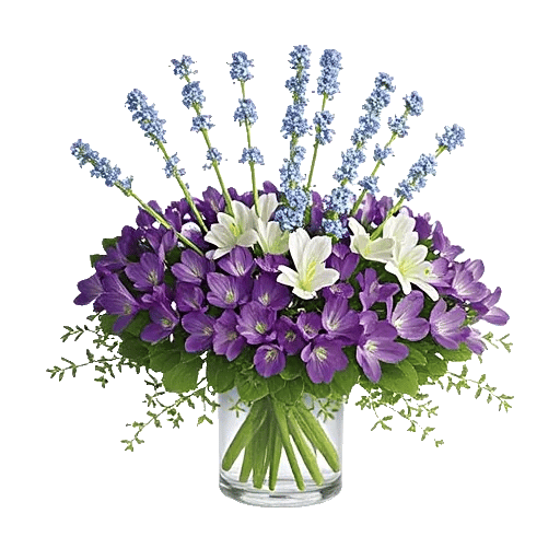 Ivory Blossom Radiance