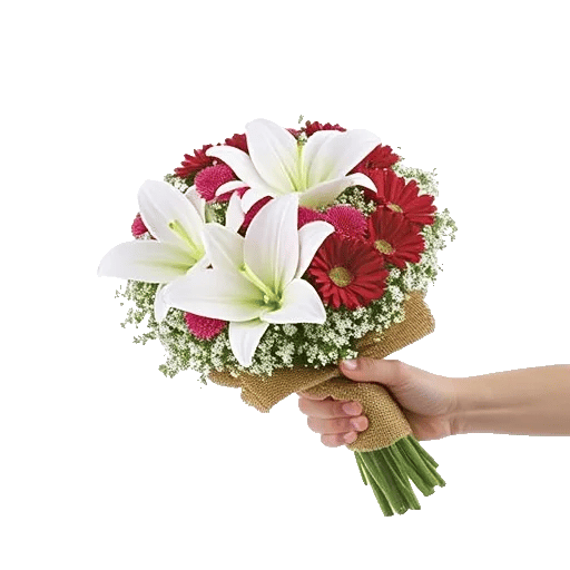 Blossom Petal Serenity