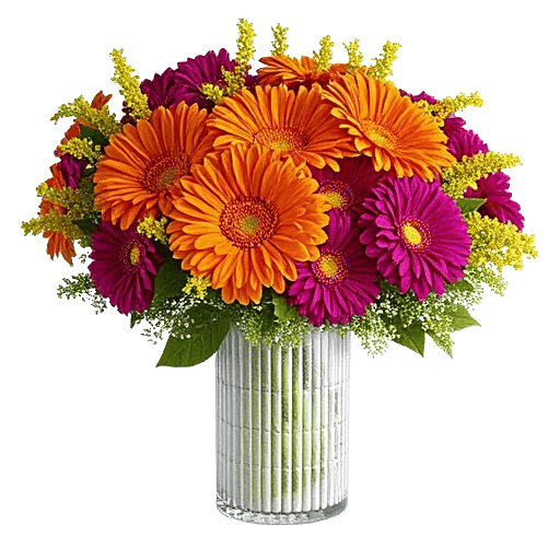 Vibrant Orange Delight