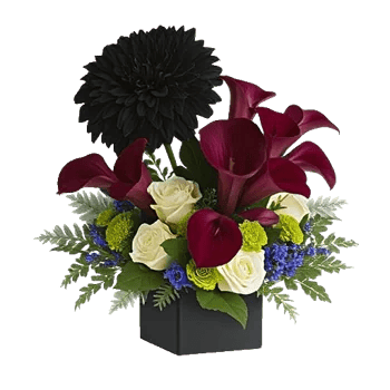 Elegant Calla Lilies