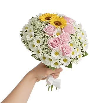 Blossom Harmony Display