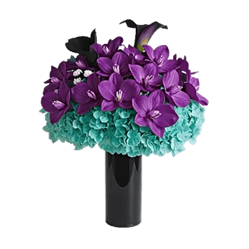 Elegant Calla Lilies