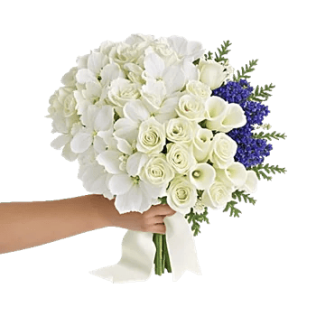 Ivory Garden Grace