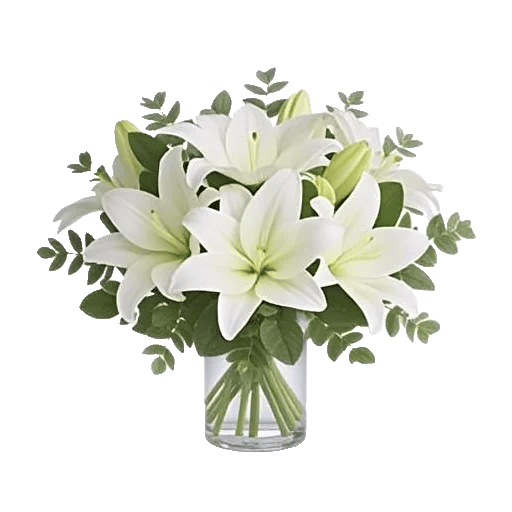 Minimalist White Orchids