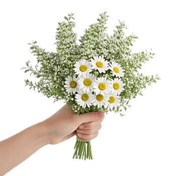 Delicate Petal Cascade