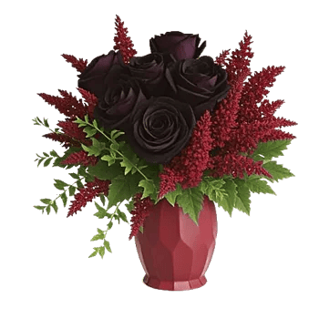 Crimson Blossom Harmony