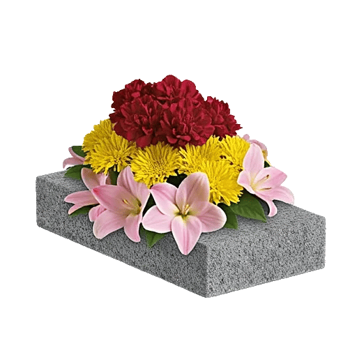 Ivory Blossom Radiance