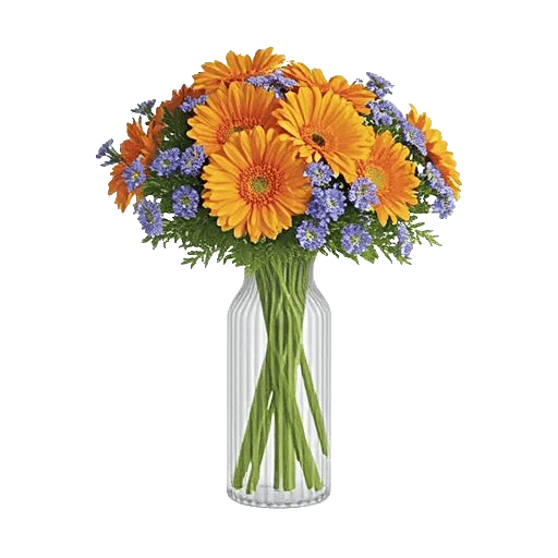 Vibrant Orange Delight