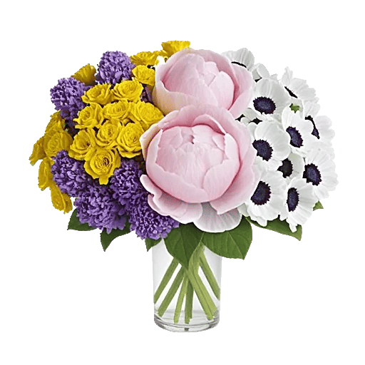 Petal Radiance Bliss
