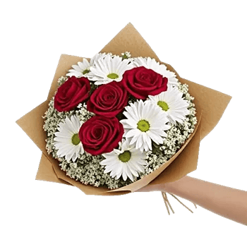 Crimson Rose Elegance