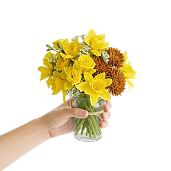 Tulip Rose Mix
