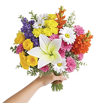 Blossom Harmony Display