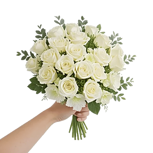 Ivory Garden Grace