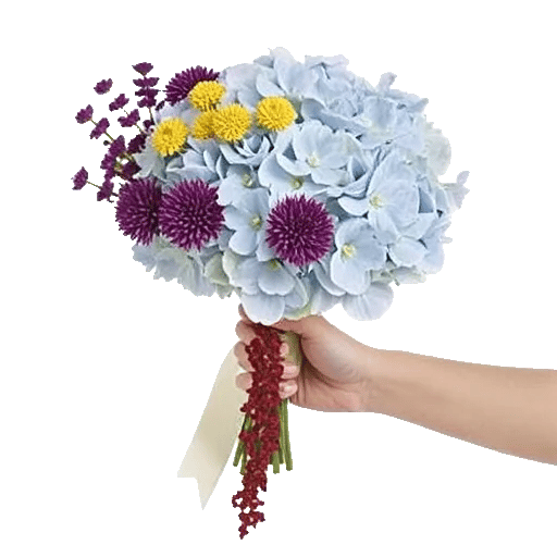 Serene Petal Harmony