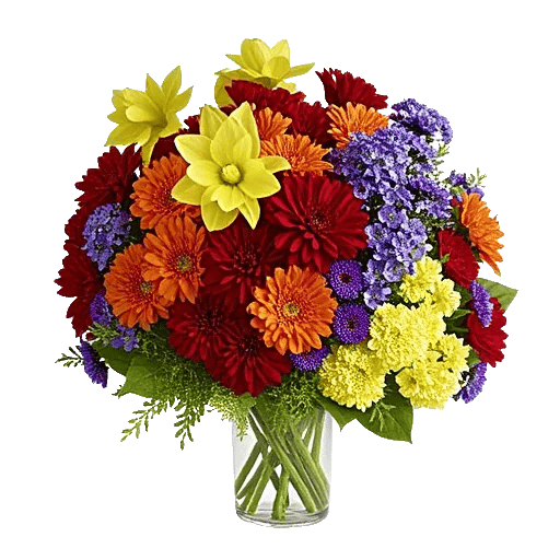 Petal Radiance Bliss