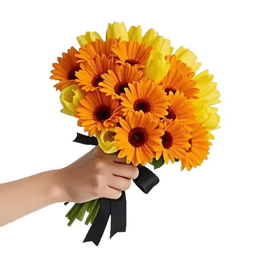 Petal Harmony Bliss