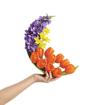 Radiant Bloom Cascade