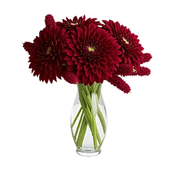 Crimson Blossom Harmony