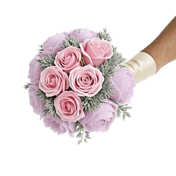 Pastel Pink Roses
